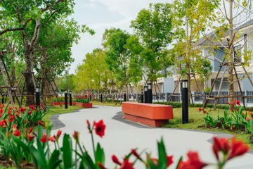 DSC4318