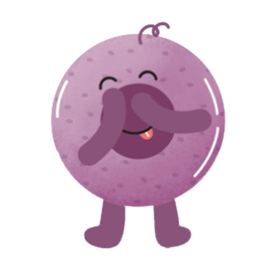 jelloboom-Homeicon01