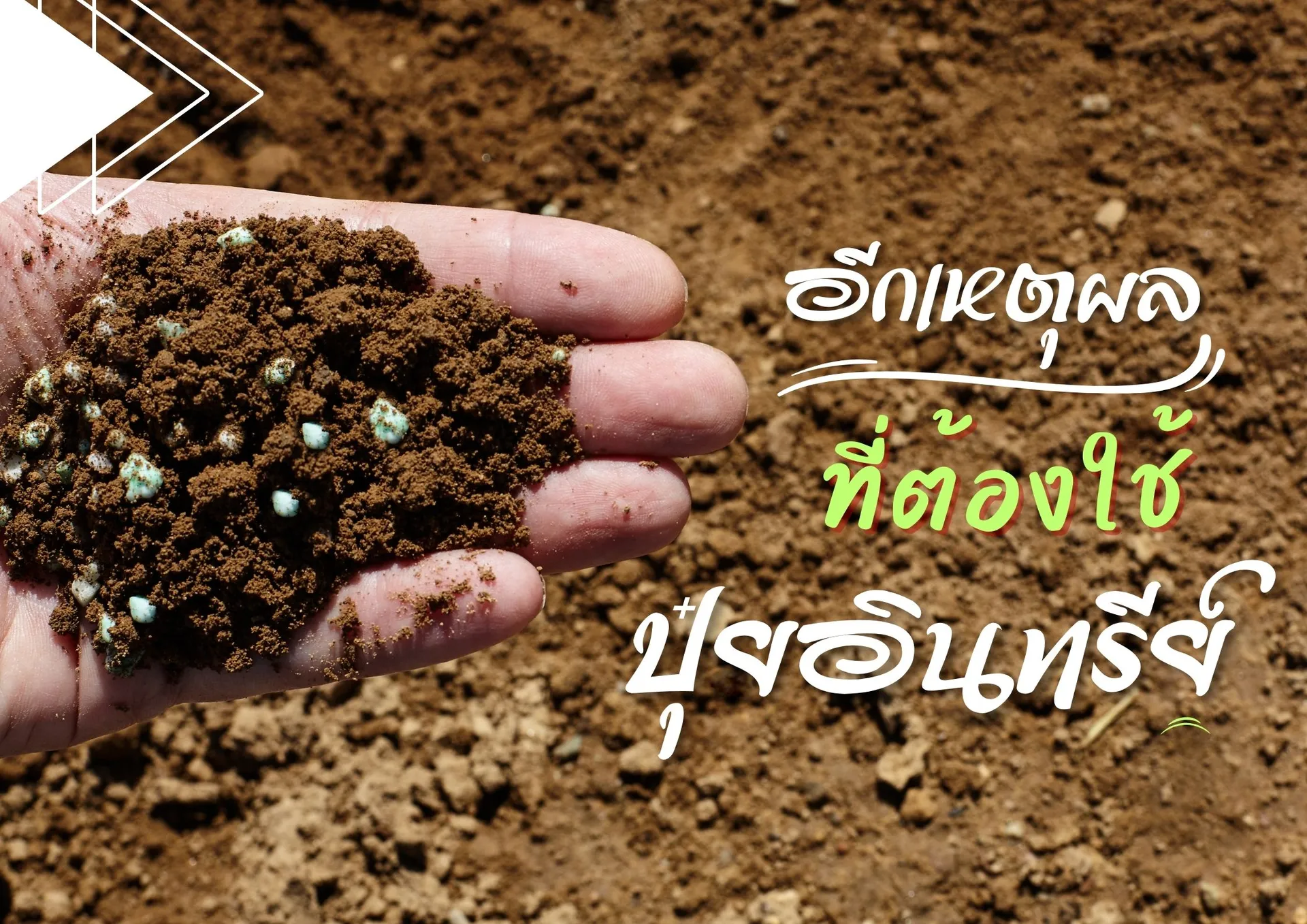 ปกเว็บ(1)
