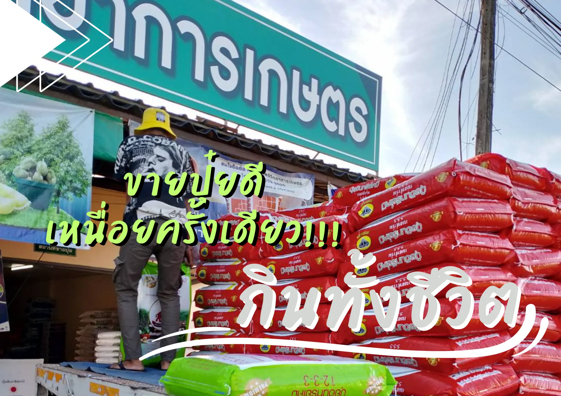 ปกเว็บ(10)