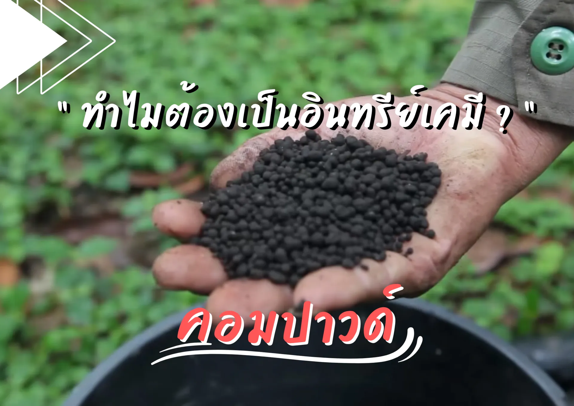 ปกเว็บ(11)