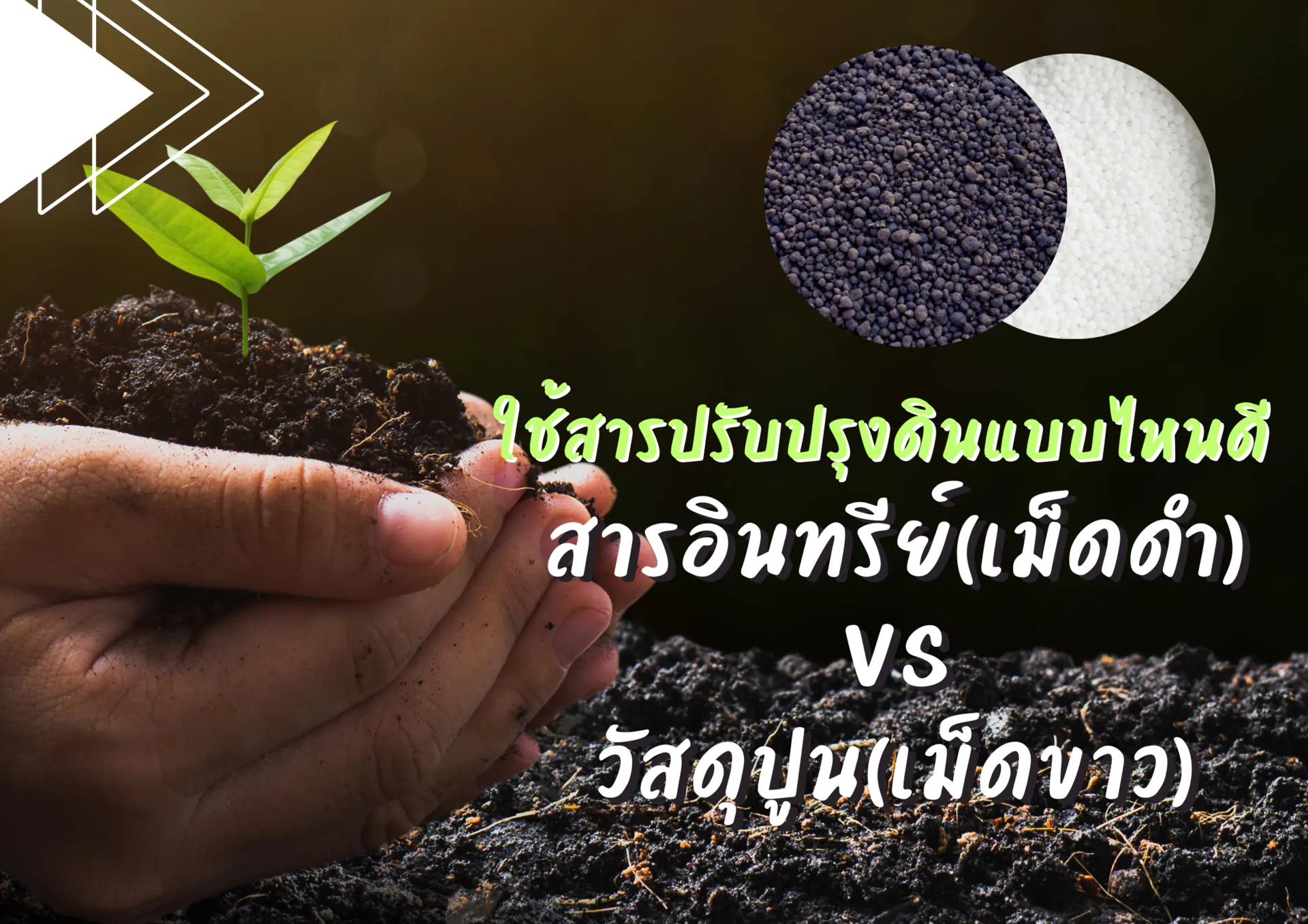 ปกเว็บ(14)