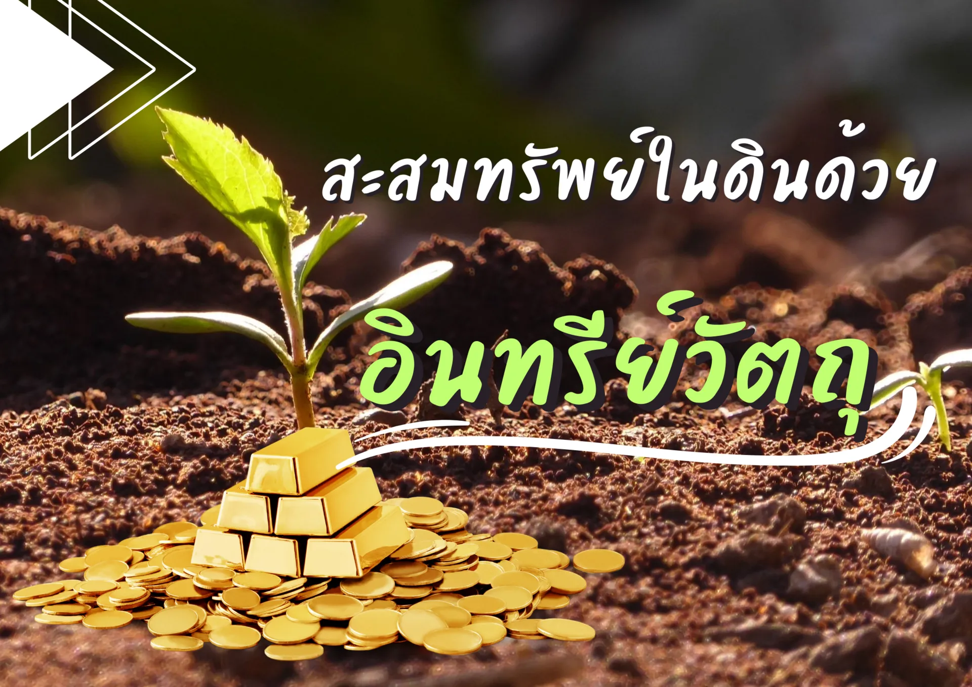ปกเว็บ(21)