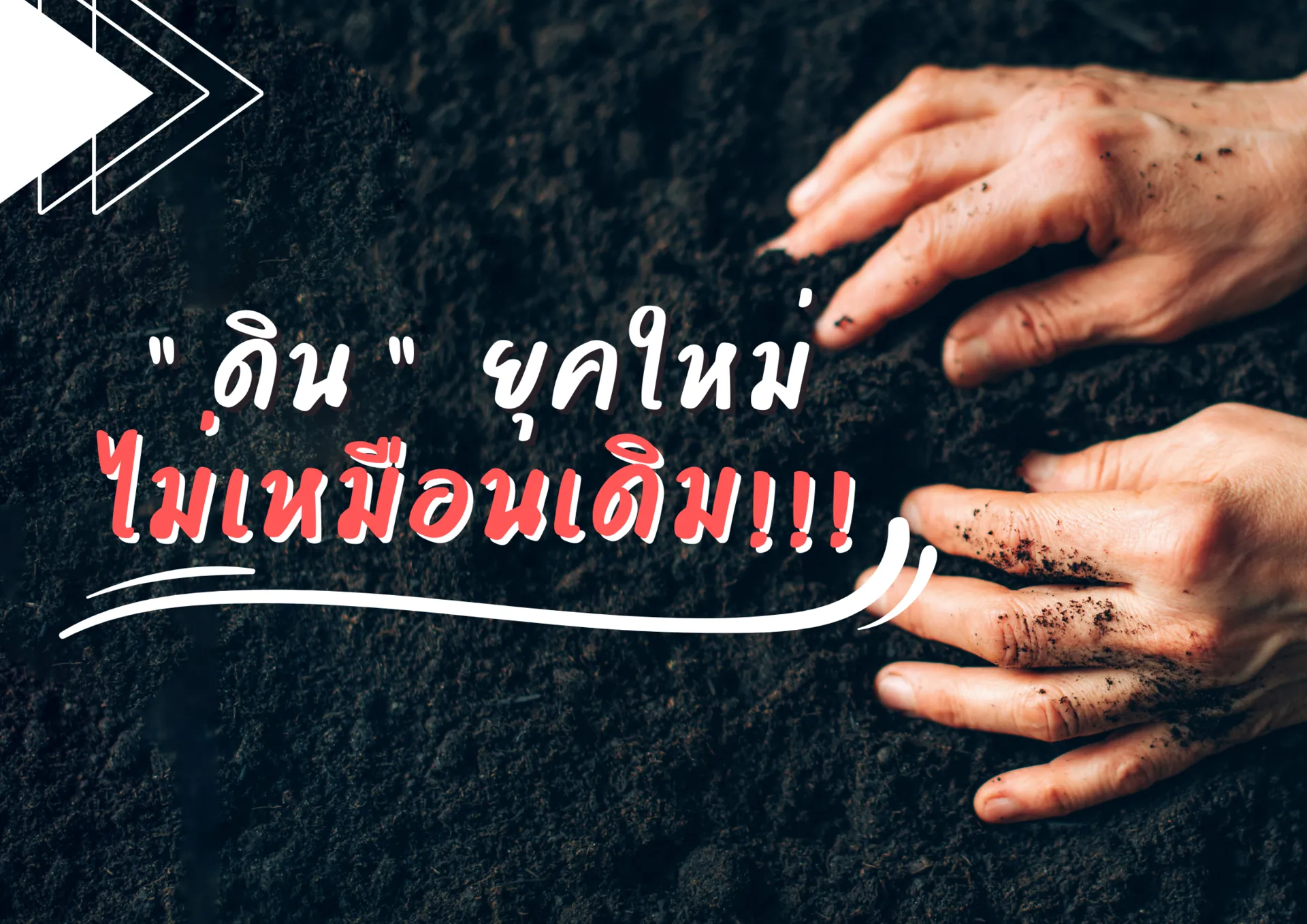 ปกเว็บ(22)