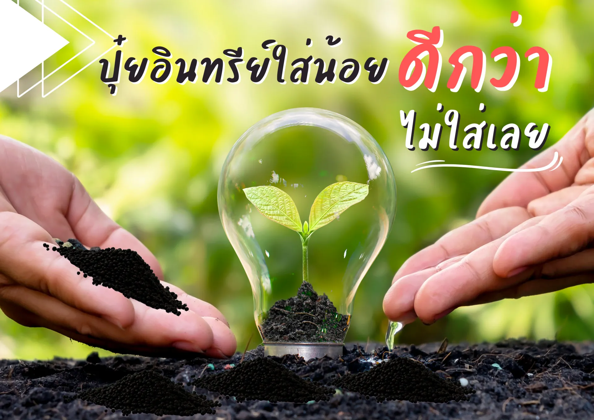 ปกเว็บ(24)