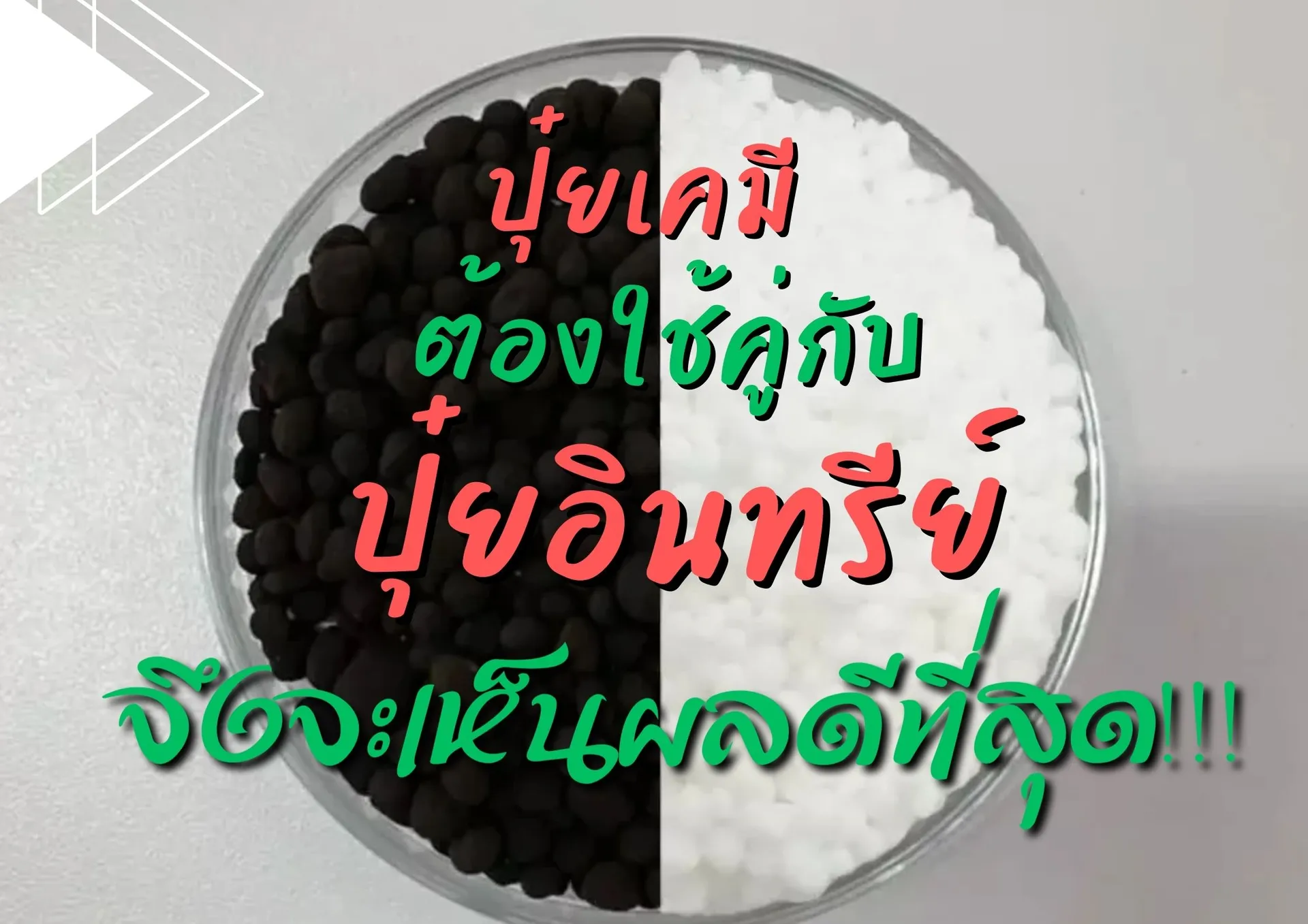ปกเว็บ(3)