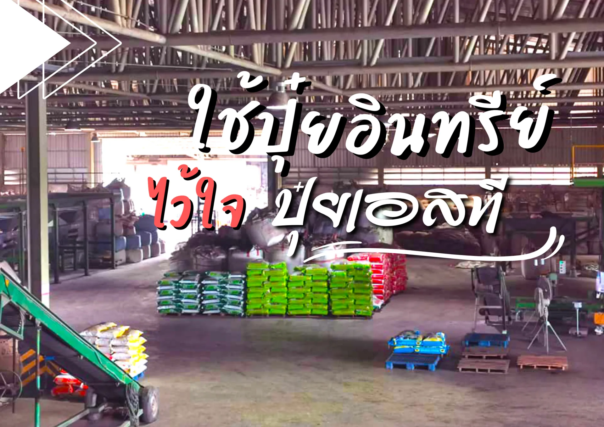 ปกเว็บ(6)
