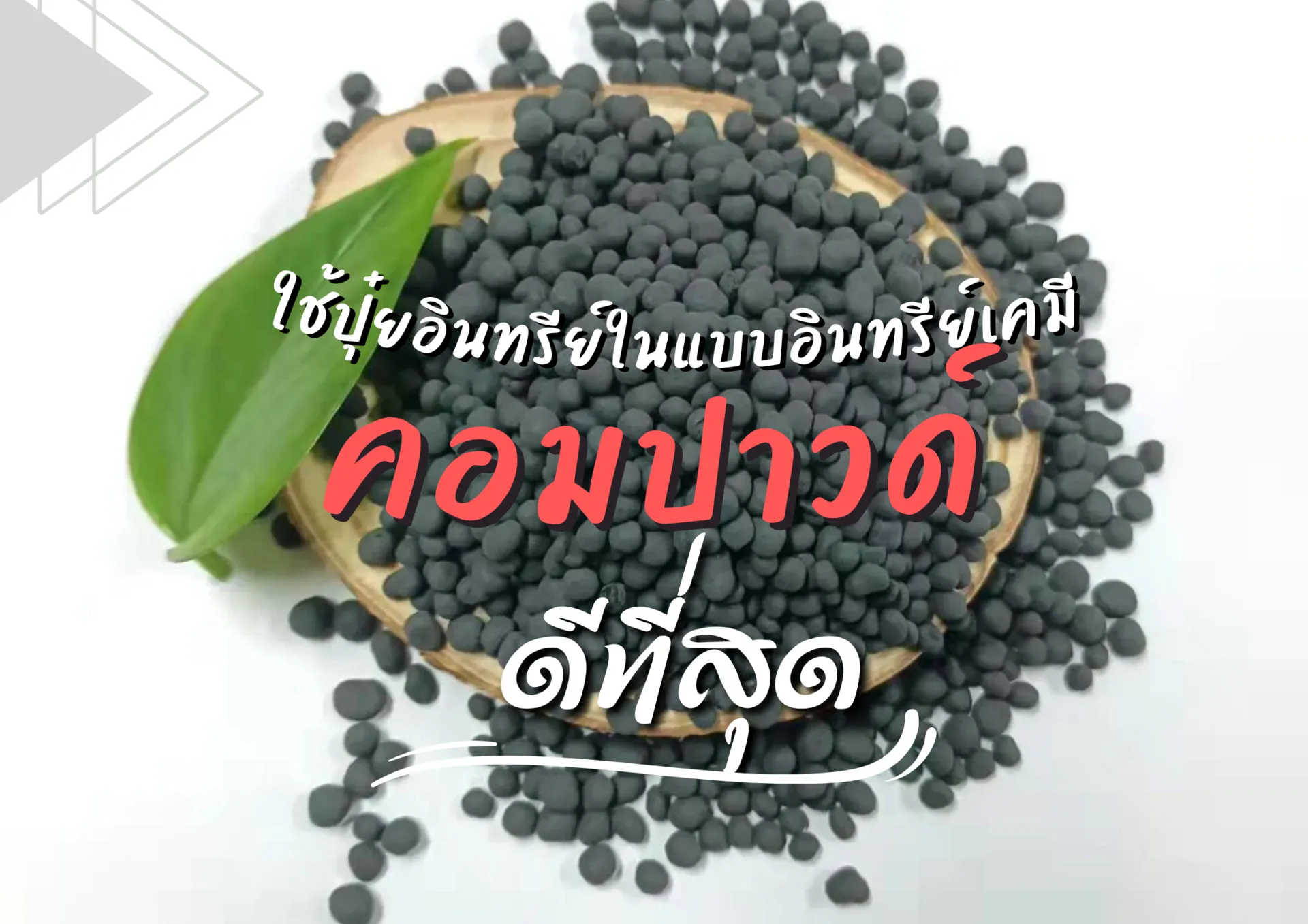 ปกเว็บ(8)