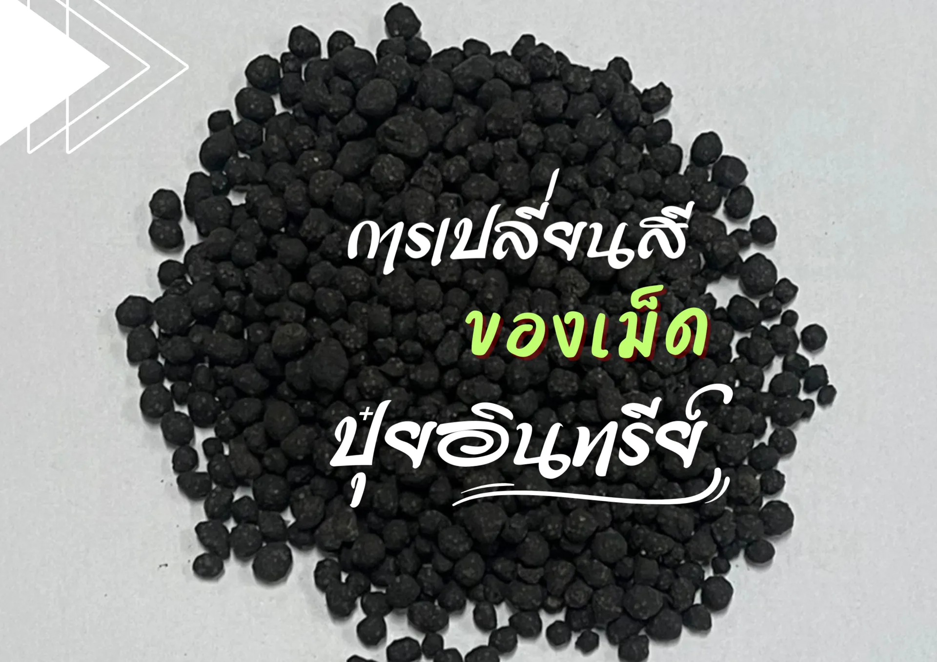 ปกเว็บ