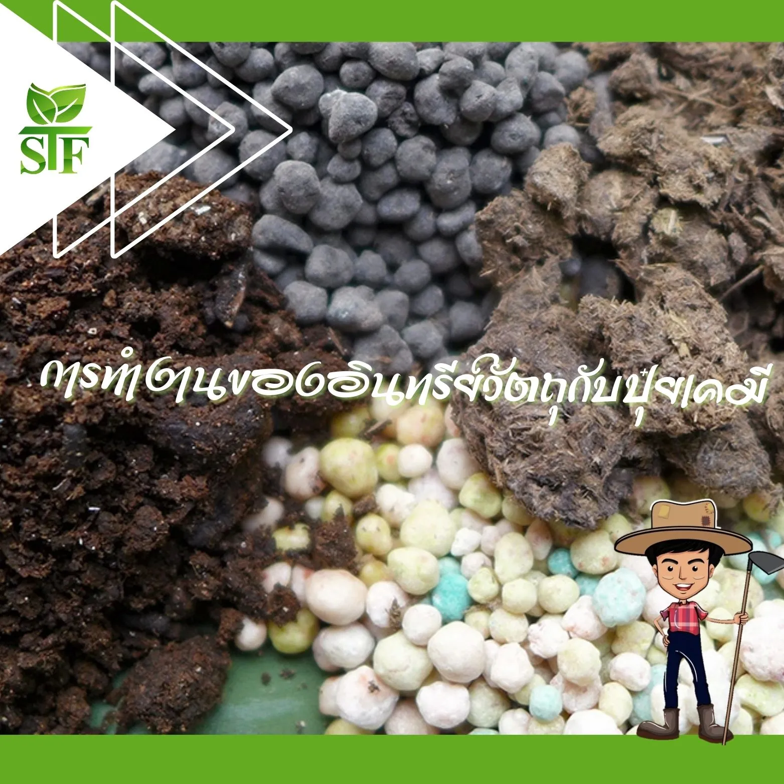 ปกเว็บไซด์(1)