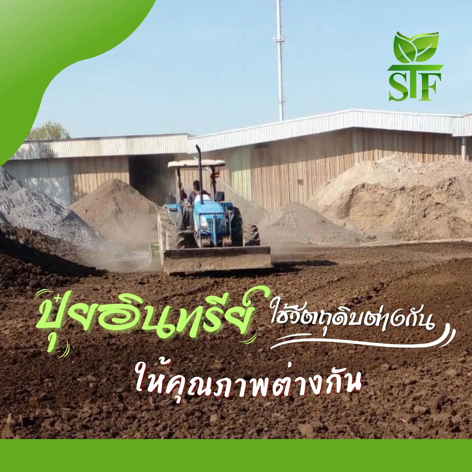สำเนาของสำเนาของสำเนาของสำเนาของสำเนาของสีครีมภาพประกอบร้านขายทุเรียนโลโก้(2)