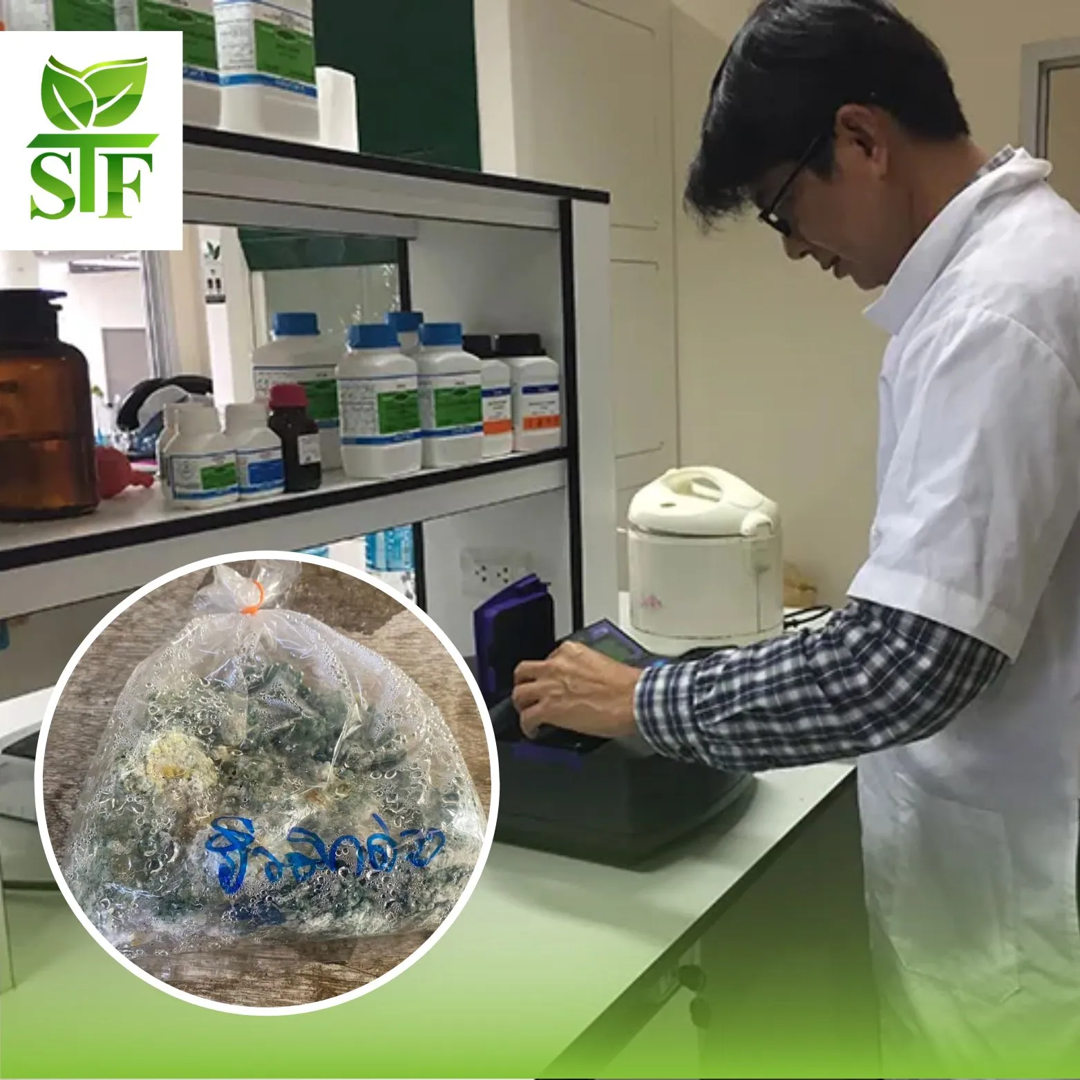 สำเนาของสำเนาของสำเนาของสำเนาของสำเนาของสีครีมภาพประกอบร้านขายทุเรียนโลโก้(6)