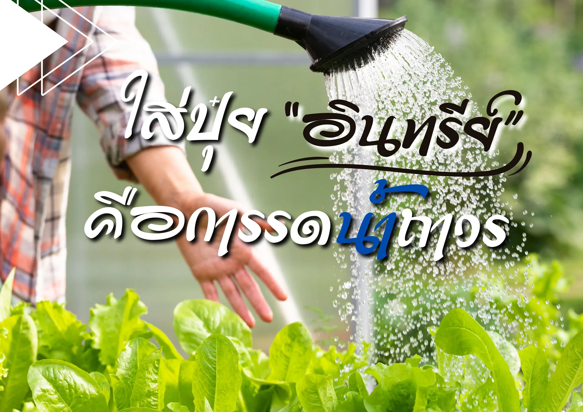 สำเนาของสำเนาของเพิ่มหัวเรื่อง(1)