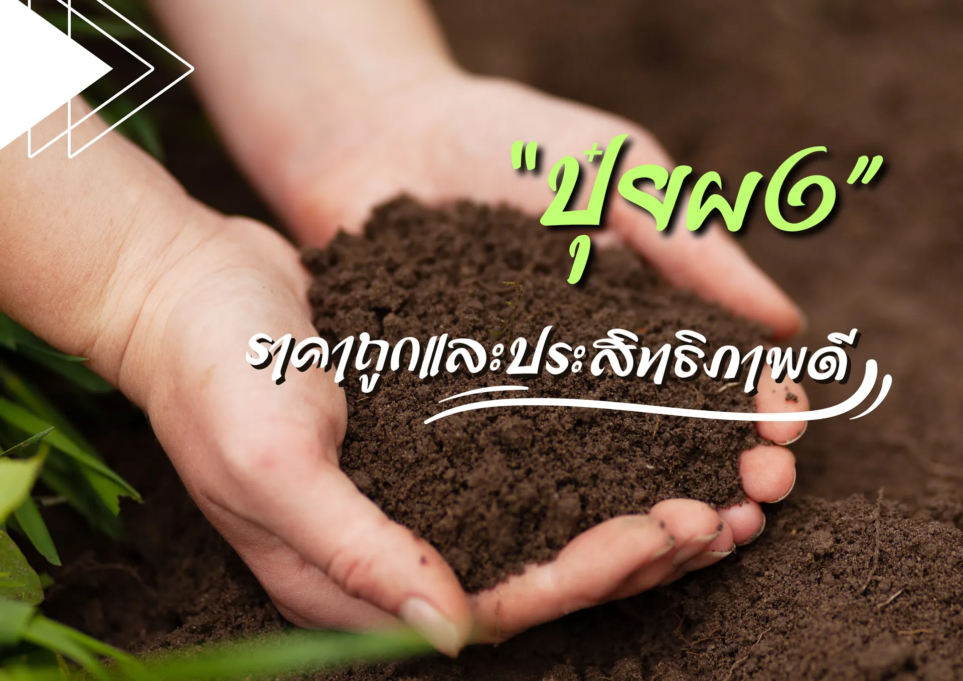 สำเนาของสำเนาของเพิ่มหัวเรื่อง(4)