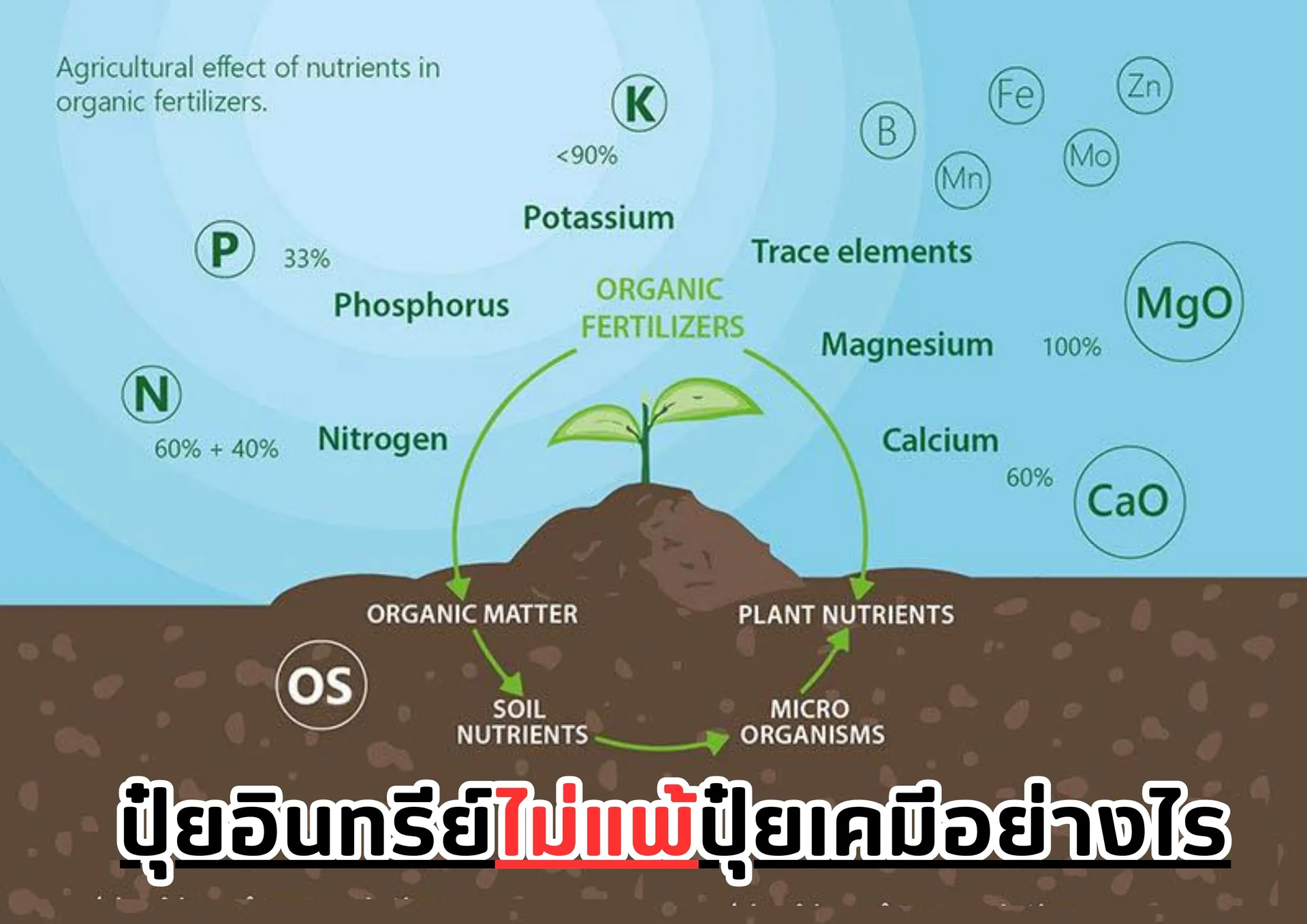 สำเนาของสีชมพูสีขาวพาสเทลน่ารักทันสมัยภาพประกอบตารางเรียน(1)