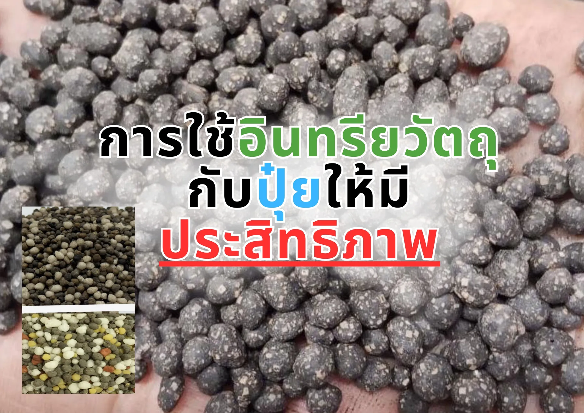 สำเนาของสีชมพูสีขาวพาสเทลน่ารักทันสมัยภาพประกอบตารางเรียน(5)