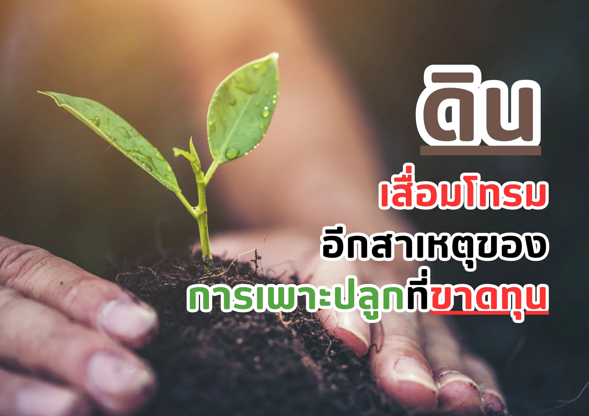 สำเนาของสีชมพูสีขาวพาสเทลน่ารักทันสมัยภาพประกอบตารางเรียน(6)