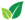 —Pngtree—greenleafecologynatureelement5569264