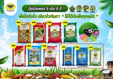 stfertility1