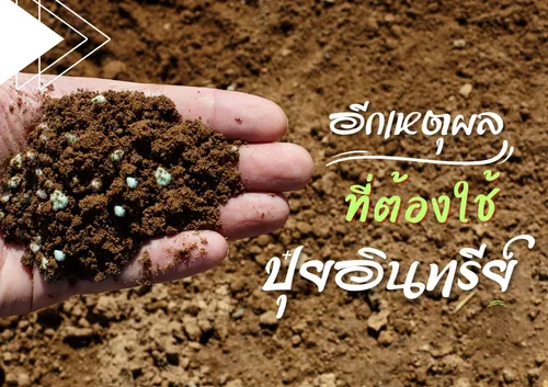 ปกเว็บ(1)