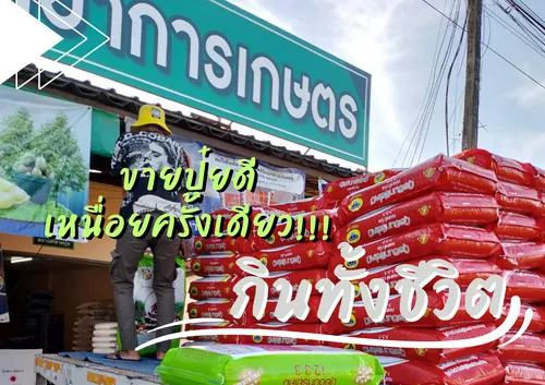 ปกเว็บ(10)