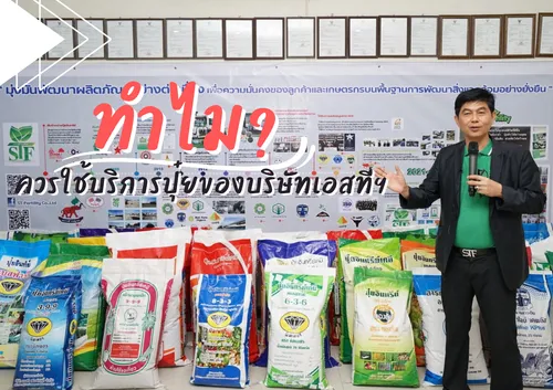 ปกเว็บ(12)