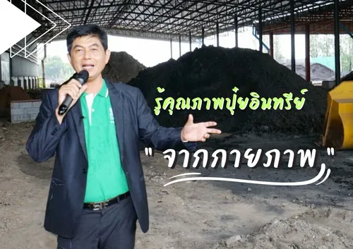 ปกเว็บ(13)