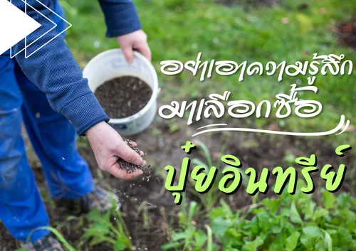 ปกเว็บ(2)