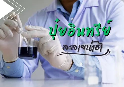 ปกเว็บ(2)
