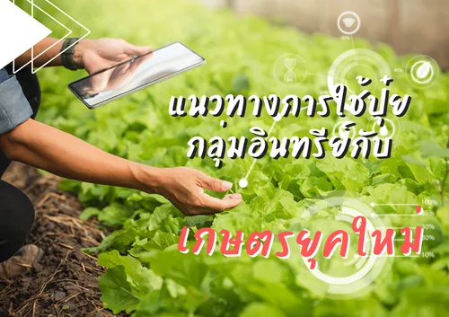 ปกเว็บ(20)