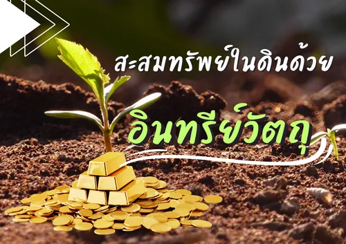 ปกเว็บ(21)
