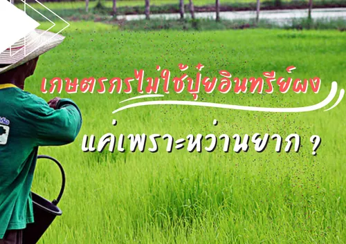 ปกเว็บ(23)