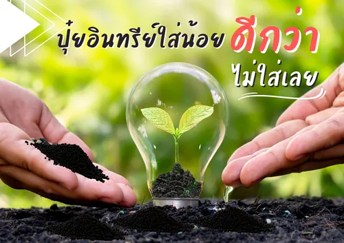 ปกเว็บ(24)