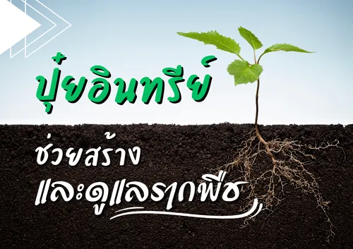 ปกเว็บ(4)