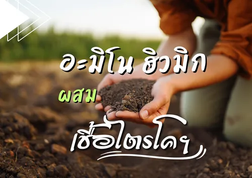 ปกเว็บ(5)