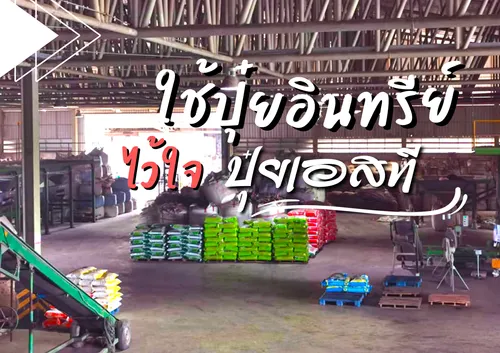 ปกเว็บ(6)