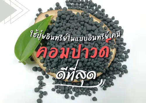 ปกเว็บ(8)