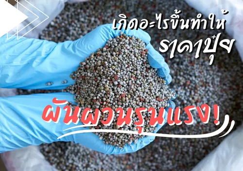 ปกเว็บ(9)