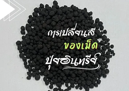 ปกเว็บ