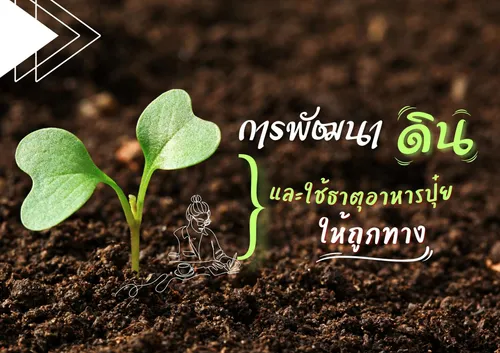 ปกเว็บ