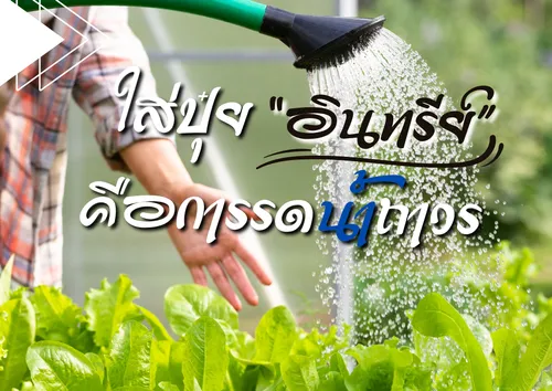 สำเนาของสำเนาของเพิ่มหัวเรื่อง(1)