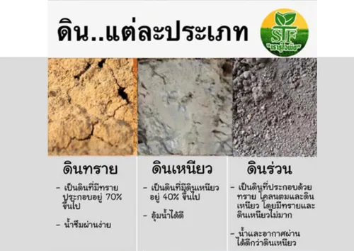 สำเนาของสำเนาของเพิ่มหัวเรื่อง