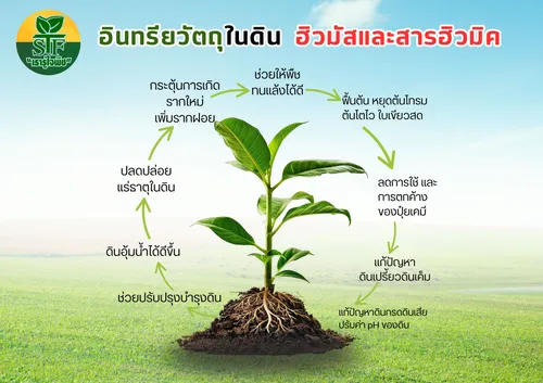สำเนาของสีชมพูสีขาวพาสเทลน่ารักทันสมัยภาพประกอบตารางเรียน(2)