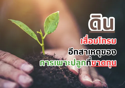 สำเนาของสีชมพูสีขาวพาสเทลน่ารักทันสมัยภาพประกอบตารางเรียน(6)