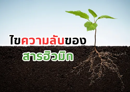 สำเนาของสีชมพูสีขาวพาสเทลน่ารักทันสมัยภาพประกอบตารางเรียน(8)