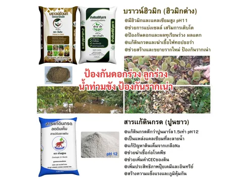 สำเนาของสีชมพูสีขาวพาสเทลน่ารักทันสมัยภาพประกอบตารางเรียน(9)