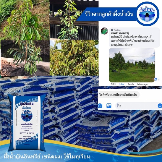 ผึ้งผงทุเรียน