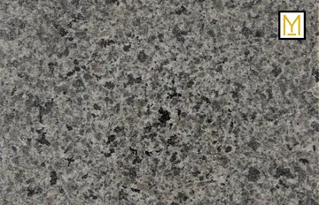 MB304