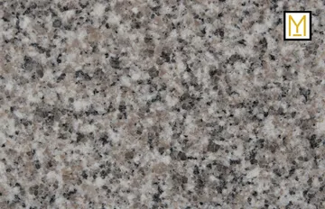 MB313