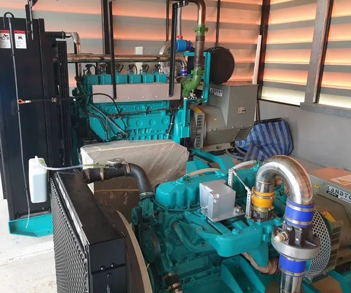 Biogas Engine